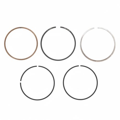 TVS Kit Anillos Std | N5320440