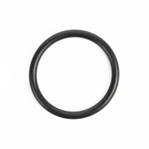 TVS O Ring Tensor Cadenilla | R1321190