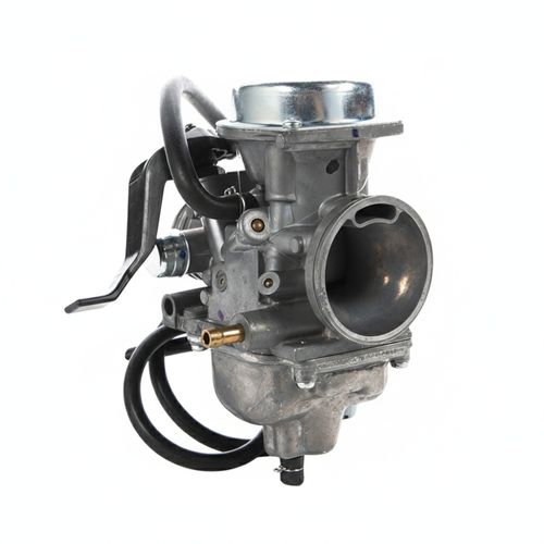 TVS Carburador Completo | N9041980