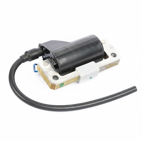 TVS Bobina de Alta | N9060180