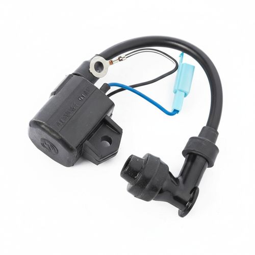 TVS Bobina de Alta | R1060210