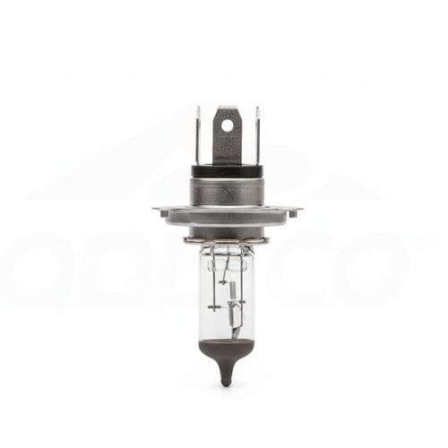 TVS Bombillo Farola 12V 60/55 | N3163510