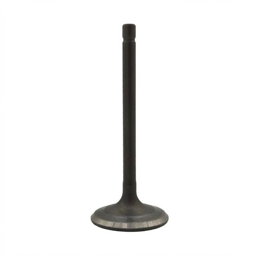 VALVULA ESCAPE-47419