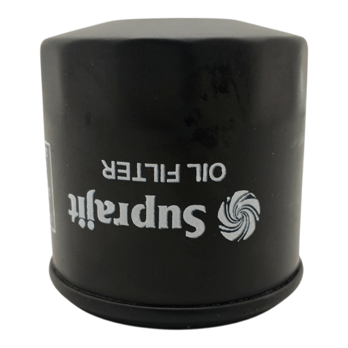 FILTRO ACEITE AN101190/I9