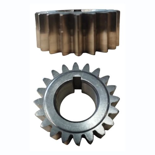 PIÑON PRIMARIO-29562