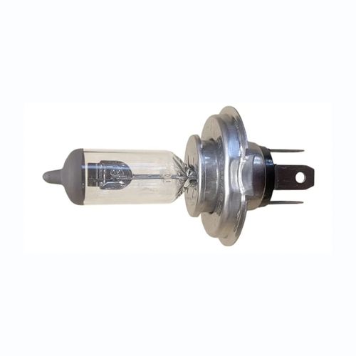 BOMBILLO FAROLA-4822