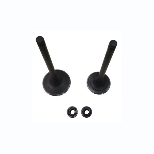 KIT VALVULAS VICTORY 407