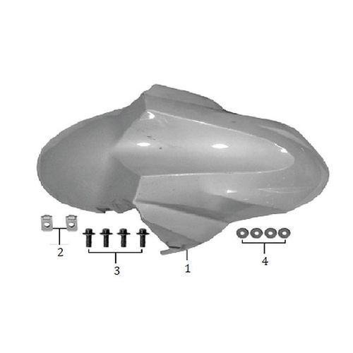 GUARDABARRO DELANTERO ZS 125