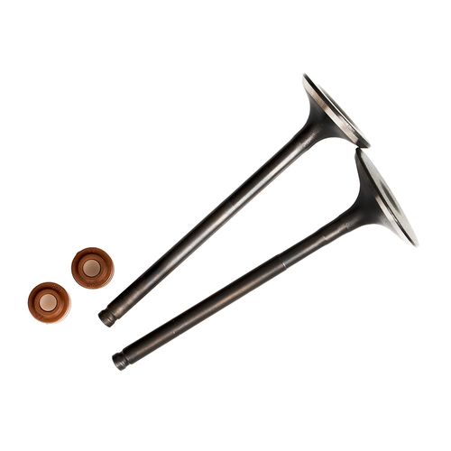 KIT VALVULAS VICTORY 404