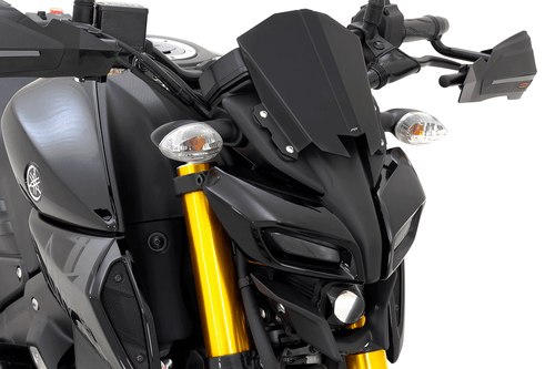 Cúpula yamaha mt15